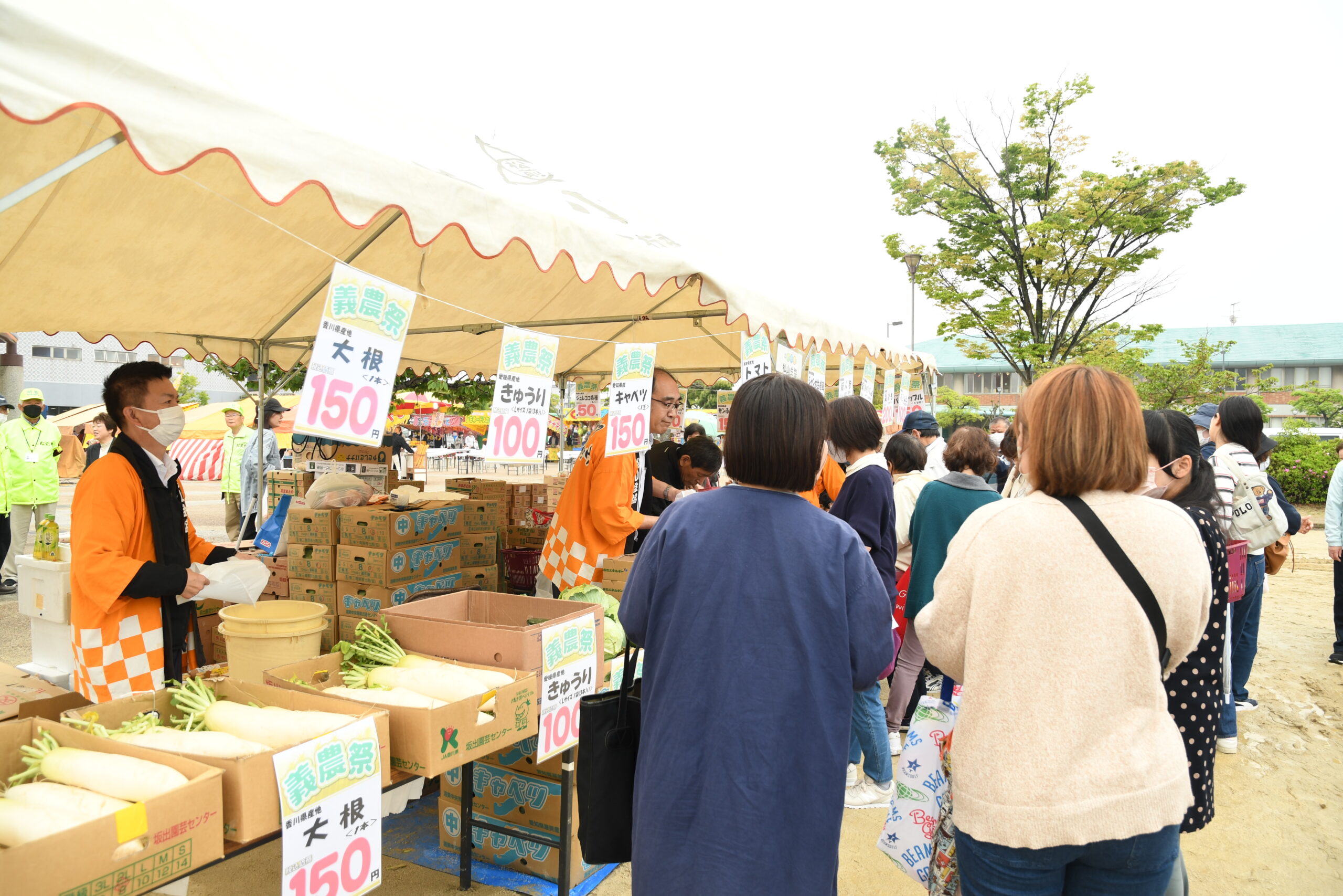 イベント検索 | えひめイベントBOX | 愛媛県イベント情報ポータルサイト